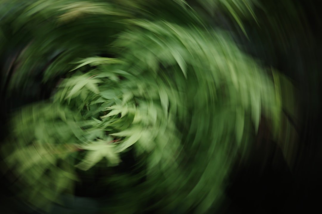 umzugsurlaub: alles, was sie über die freistellung für den wohnortwechsel wissen müssen, inklusive gesetzlicher regelungen und tipps für eine stressfreie planung.